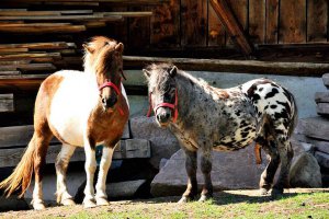 Familienurlaub in Kastelruth