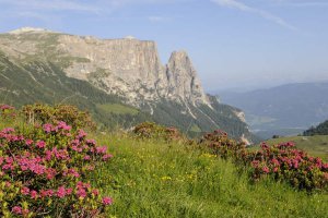 Urlaub in Kastelruth - Dolomiten