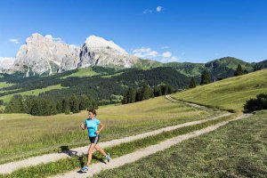 Wandern, Bergsteigen und Klettern auf der Seiser Alm