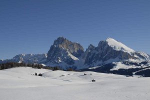 Fegerhof surroundings 5