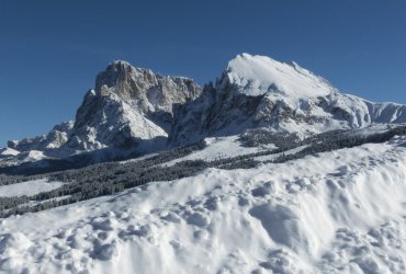 Fegerhof surroundings 3